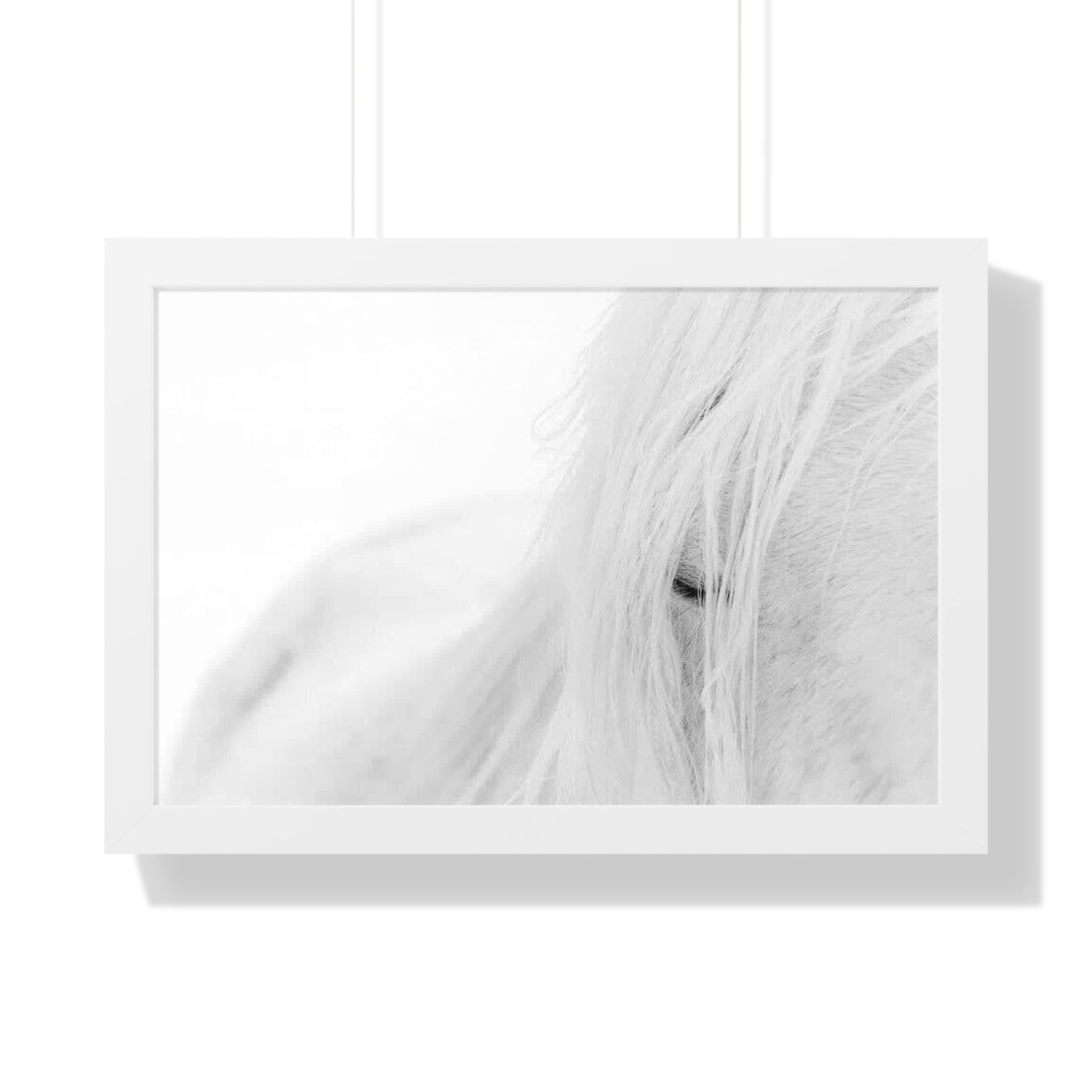 Poster Framed Horizontal horse by Mariu del Campo.