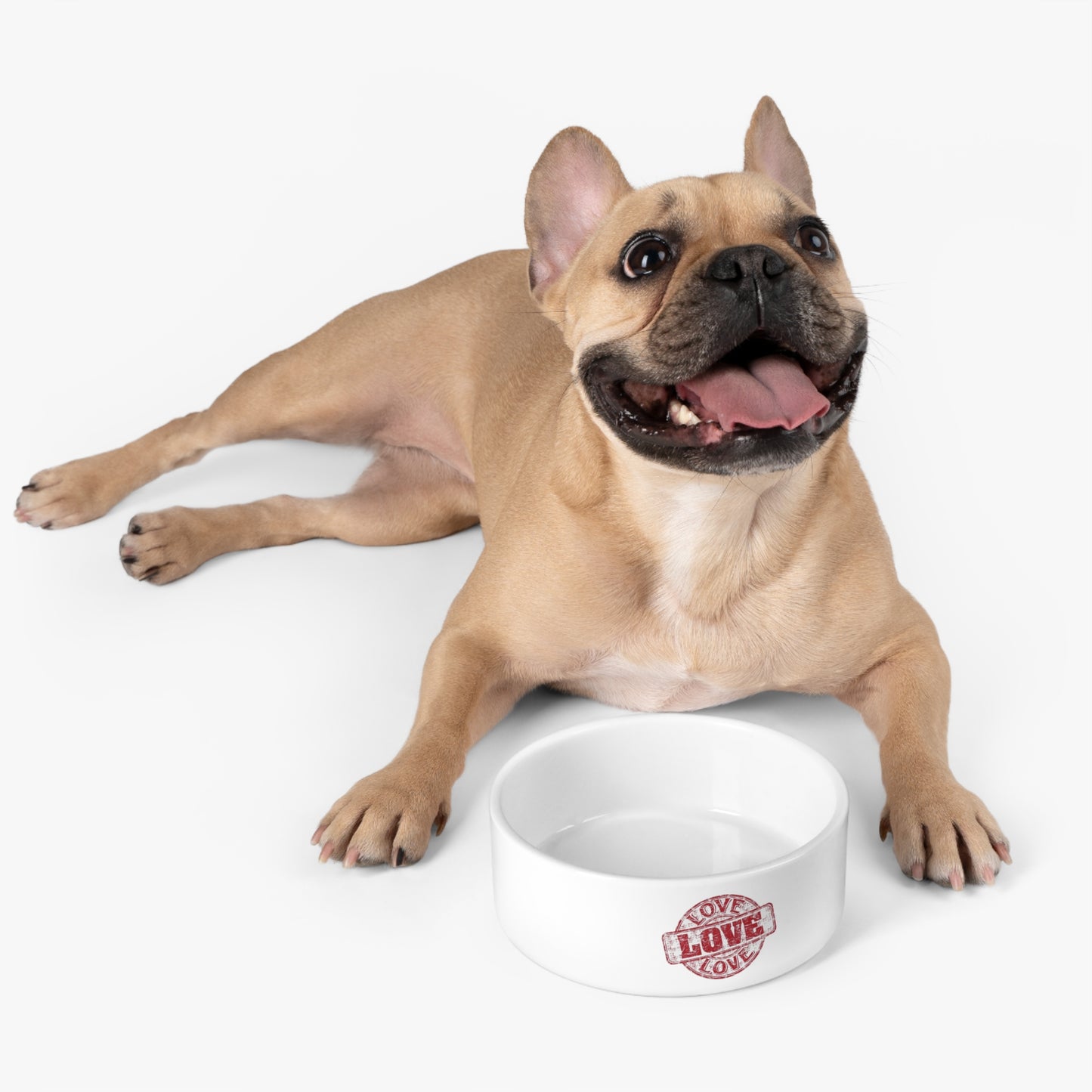 Pet Bowl white ceramic Love by Mariu del Campo.