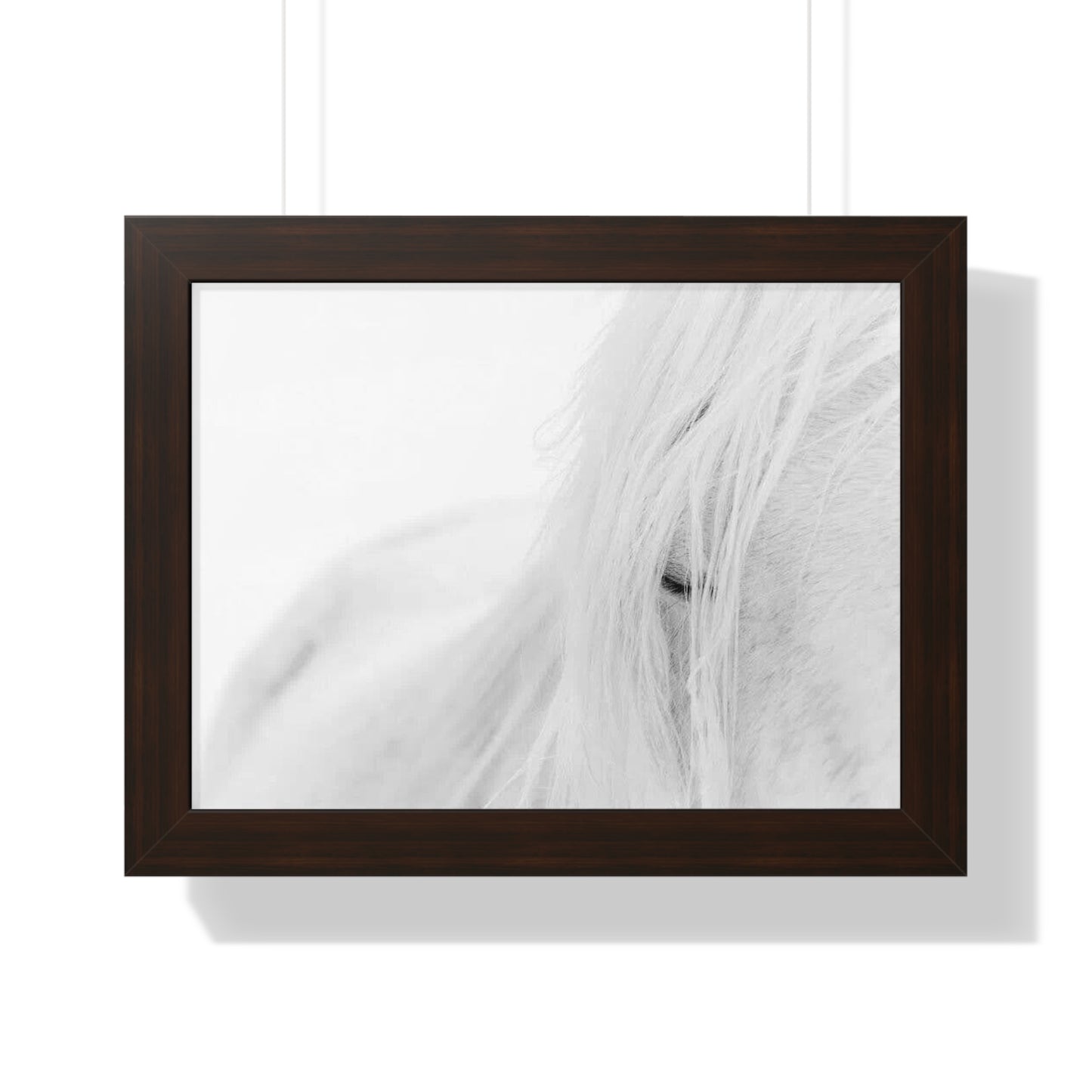 Poster Framed Horizontal horse by Mariu del Campo.
