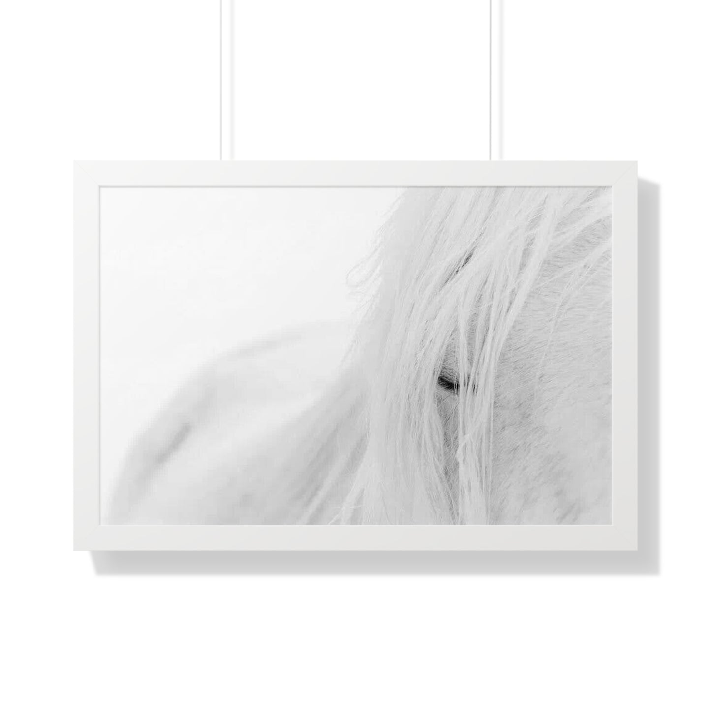 Poster Framed Horizontal horse by Mariu del Campo.