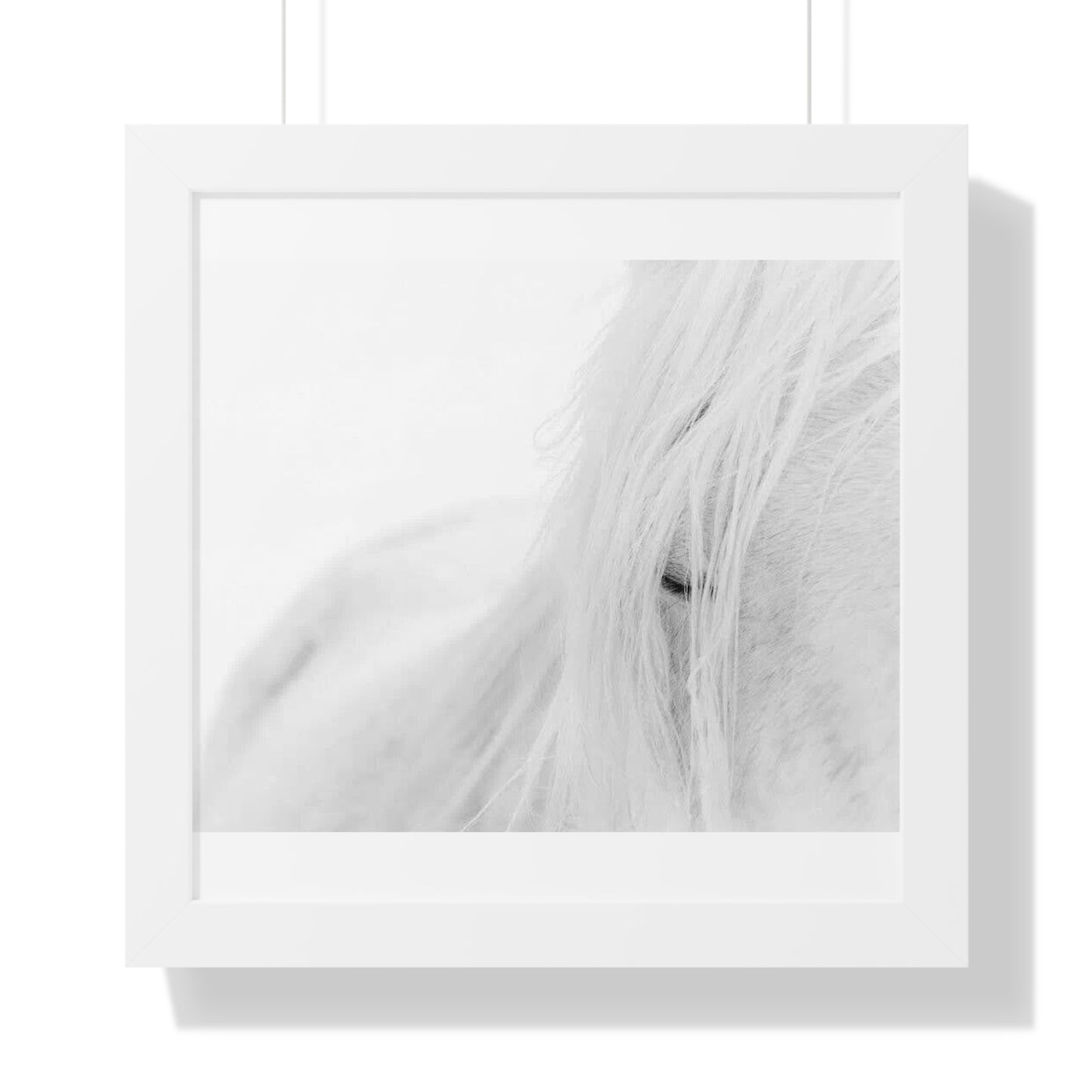 Poster Framed Horizontal horse by Mariu del Campo.
