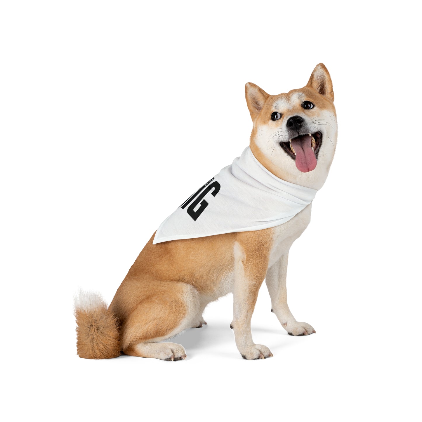 Pet Bandana Think Big by Mariu del Campo.