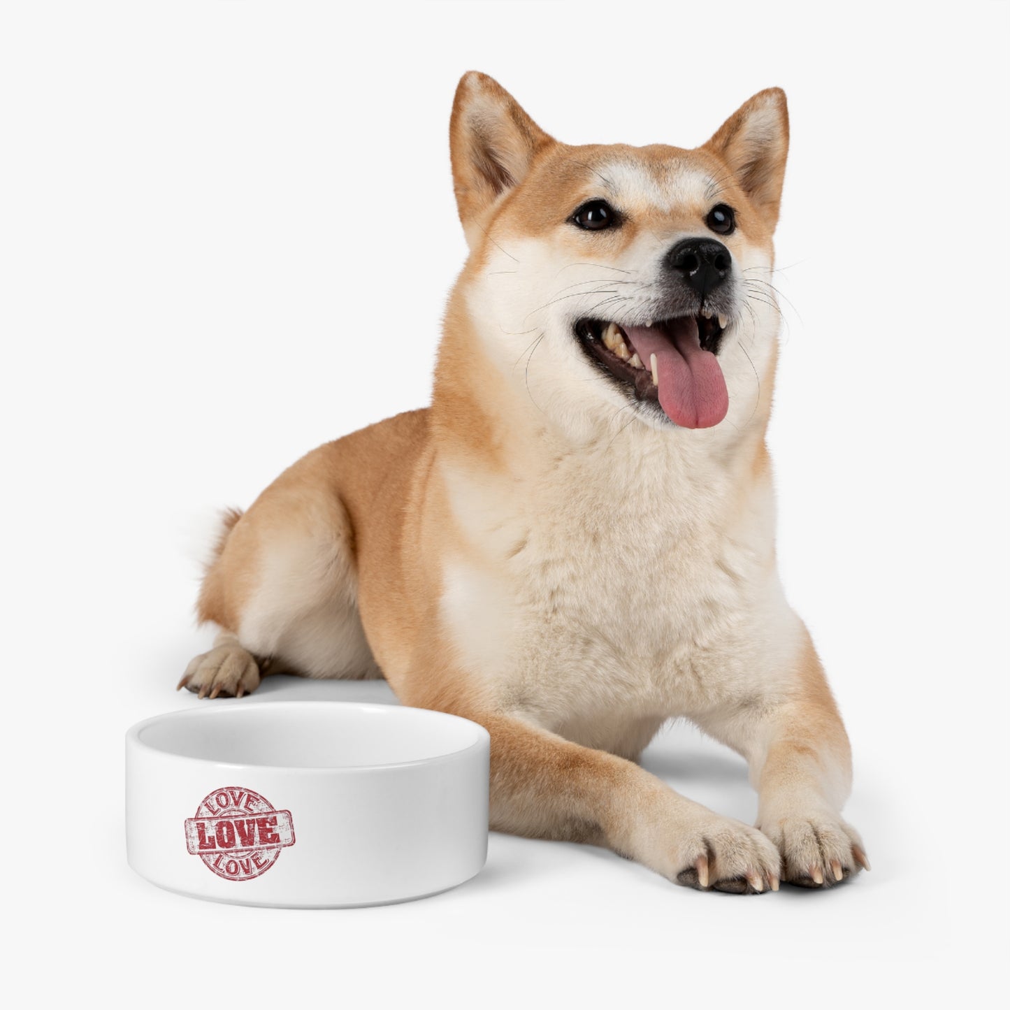 Pet Bowl white ceramic Love by Mariu del Campo.