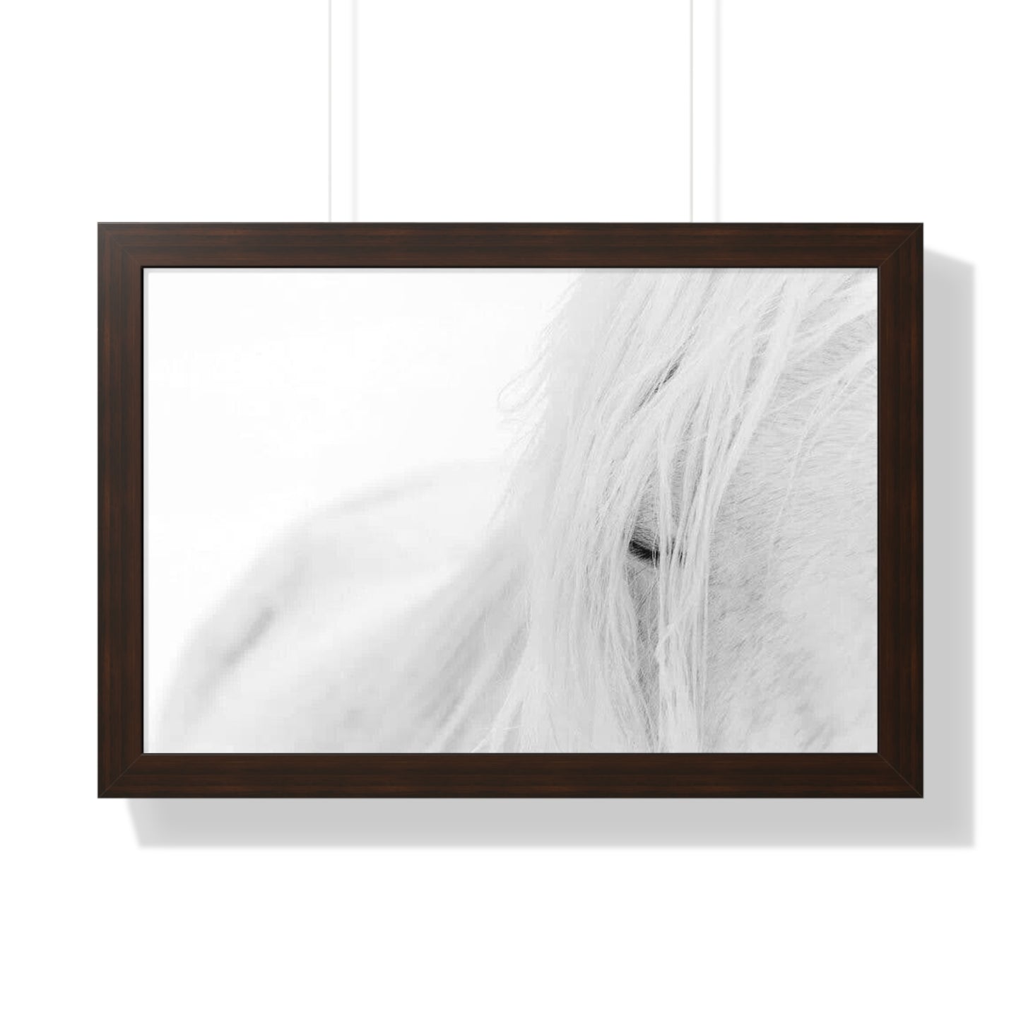Poster Framed Horizontal horse by Mariu del Campo.