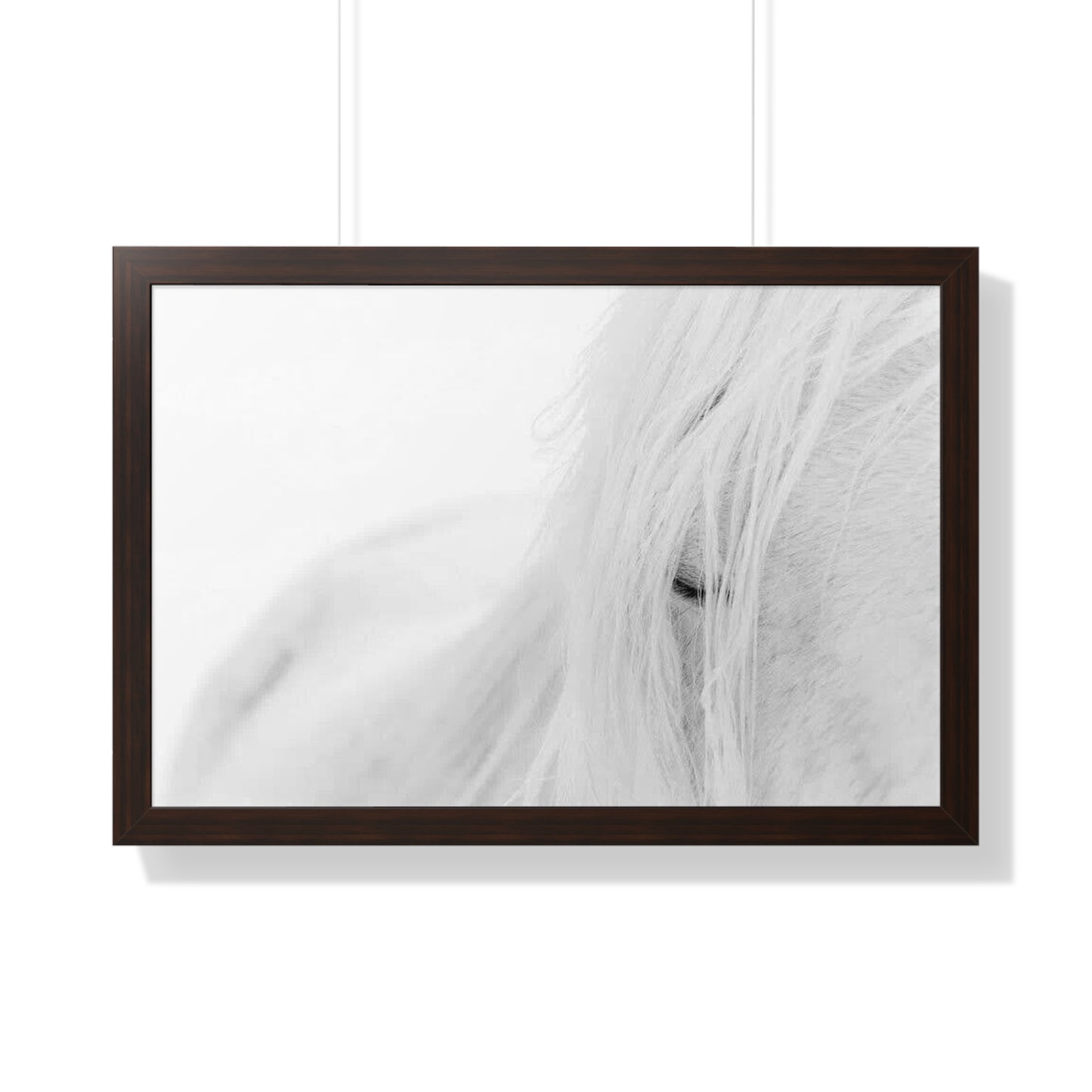 Poster Framed Horizontal horse by Mariu del Campo.