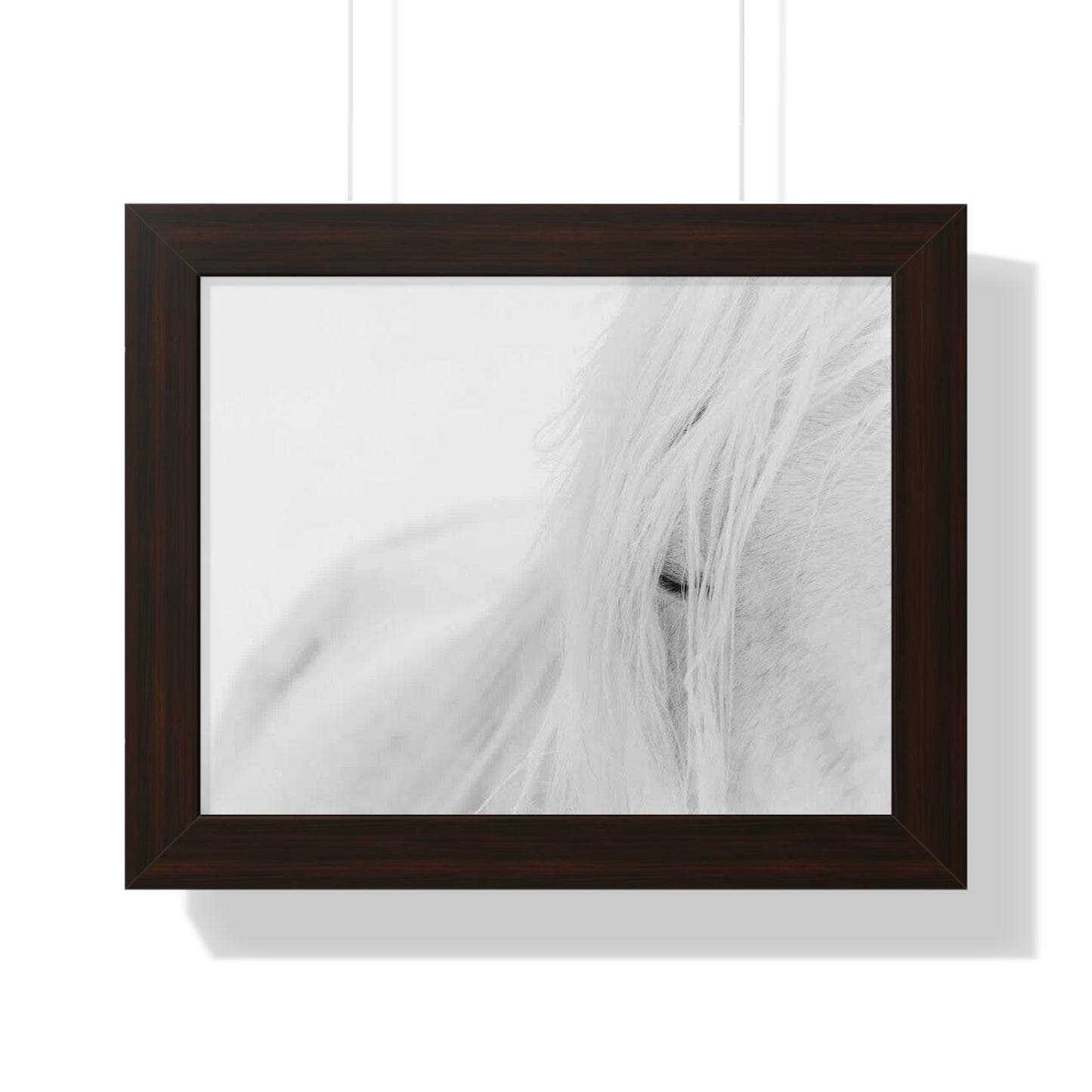 Poster Framed Horizontal horse by Mariu del Campo.