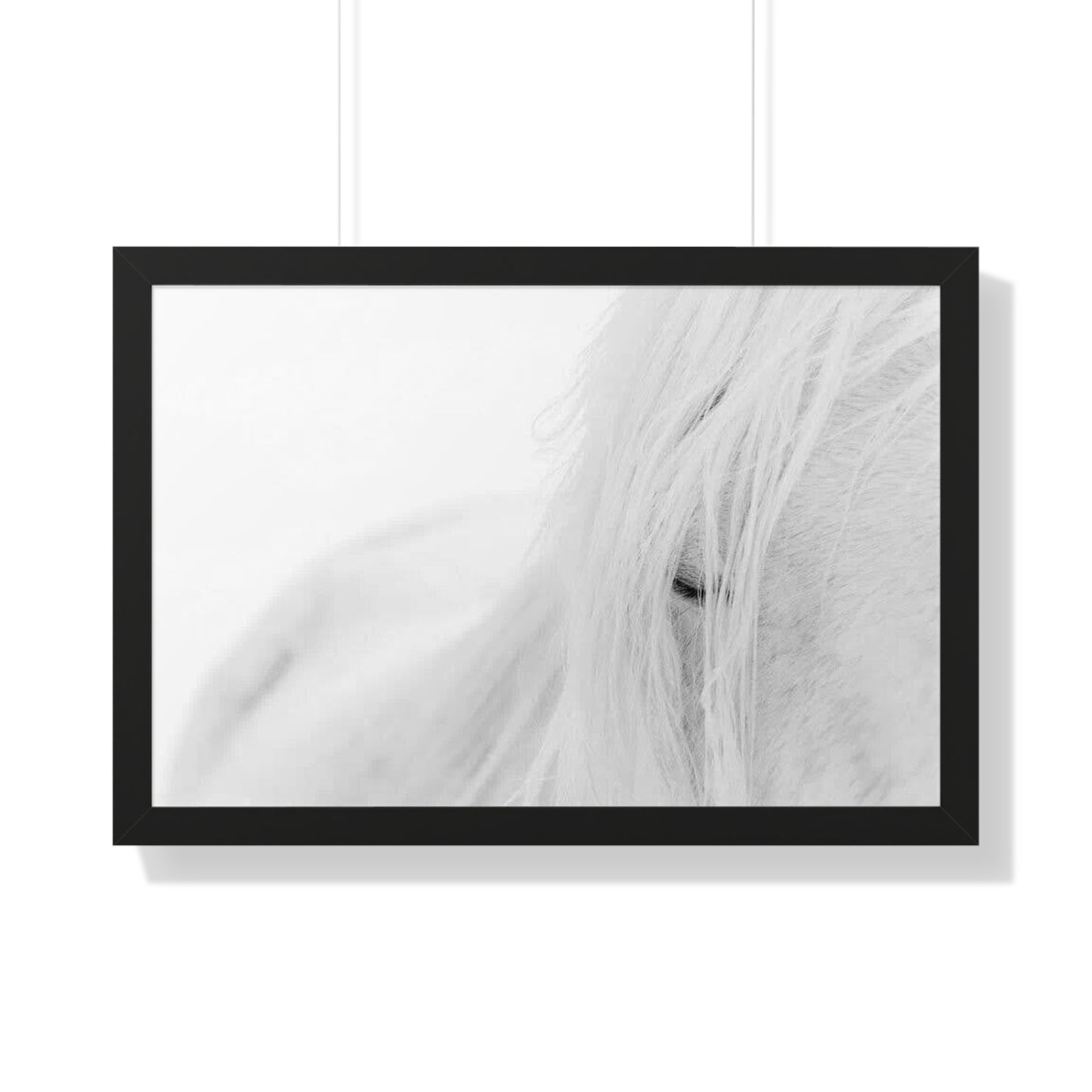 Poster Framed Horizontal horse by Mariu del Campo.