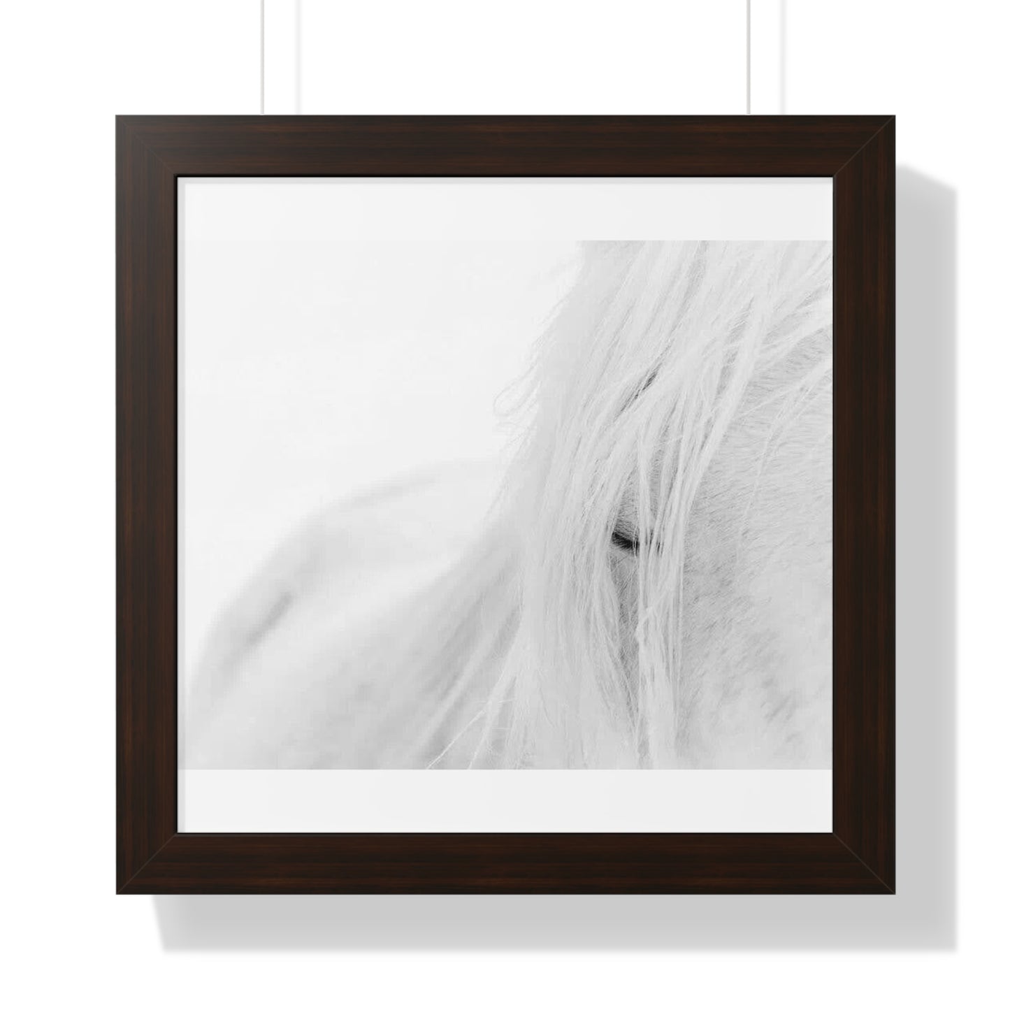 Poster Framed Horizontal horse by Mariu del Campo.