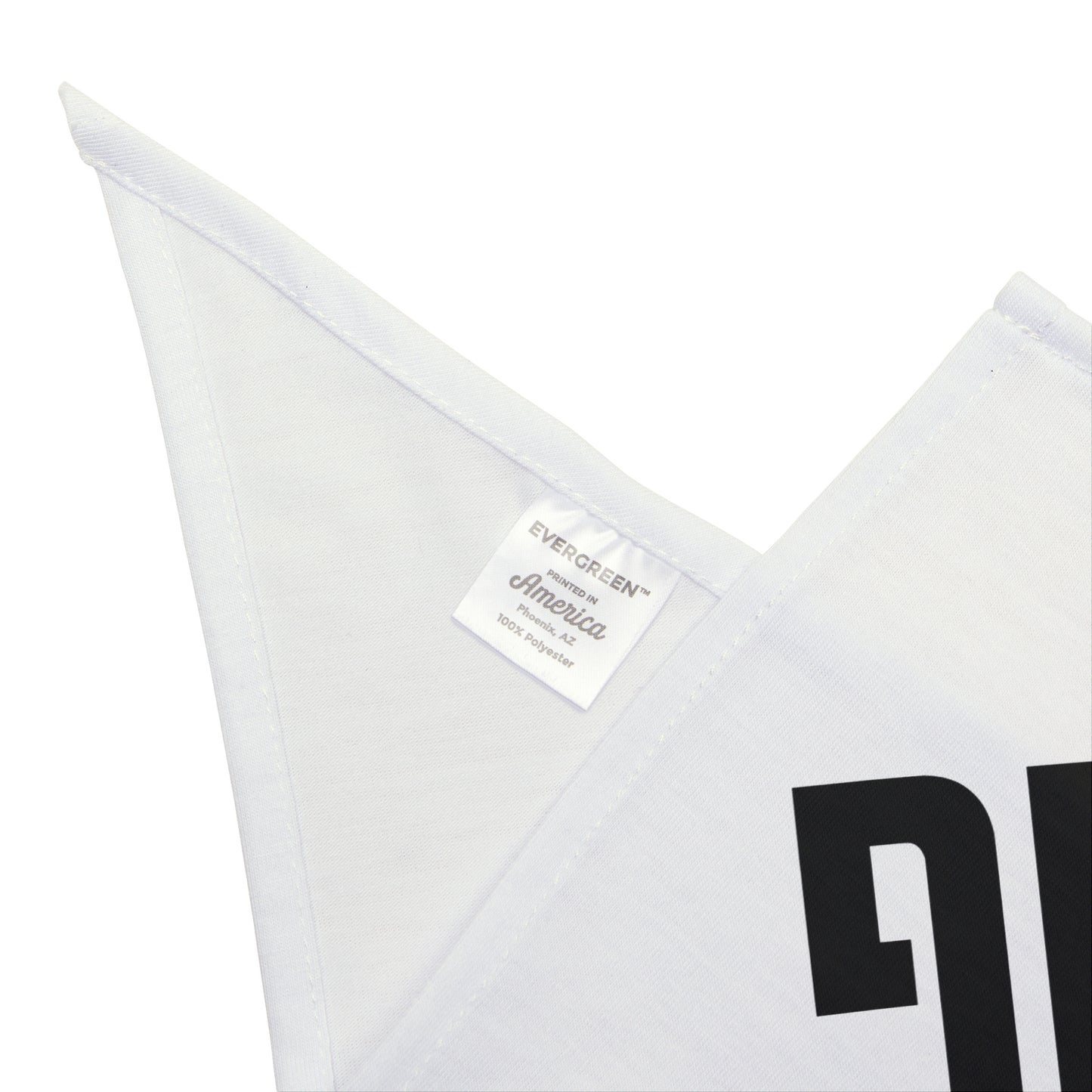 Pet Bandana Think Big by Mariu del Campo.