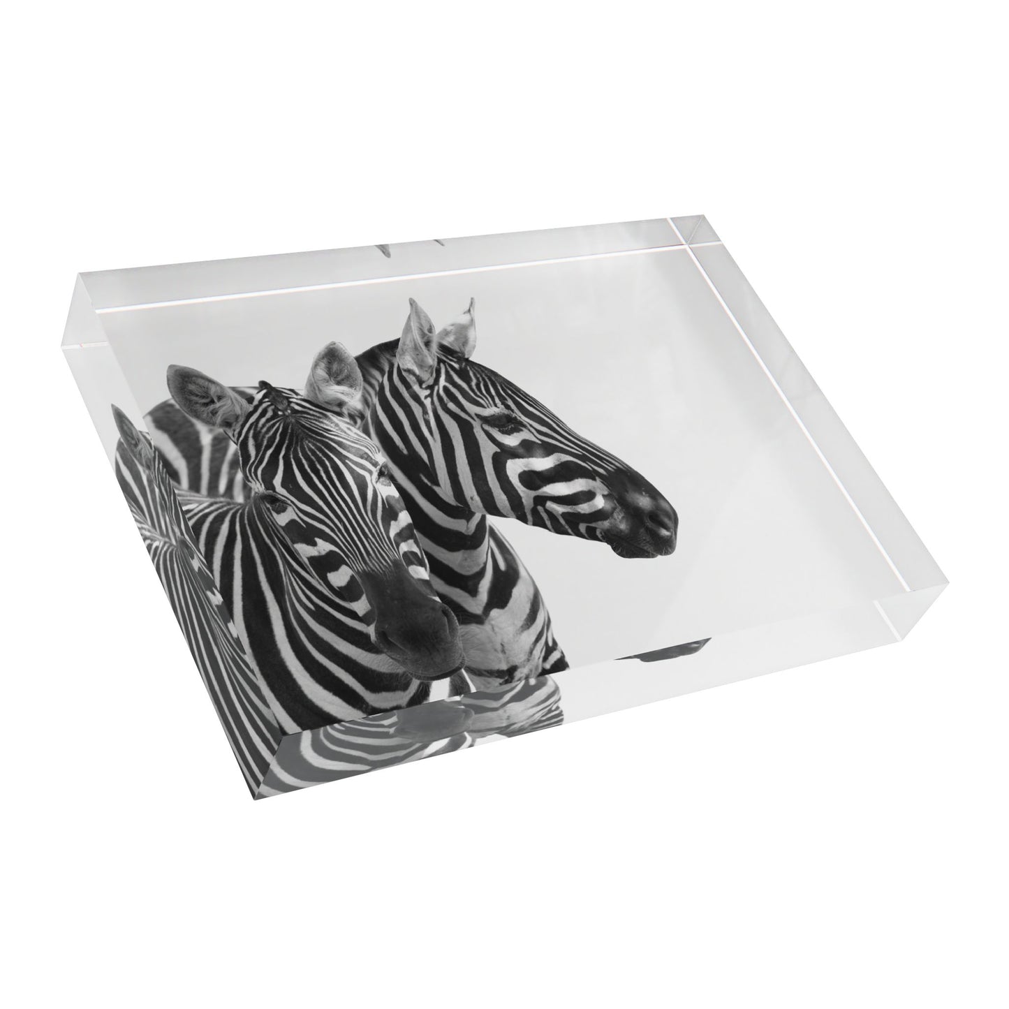 Photo Block zebras by Mariu del Campo.
