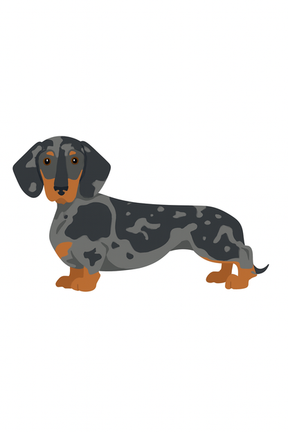 Blanket Hooded Sherpa Dachshund — by Mariu del Campo