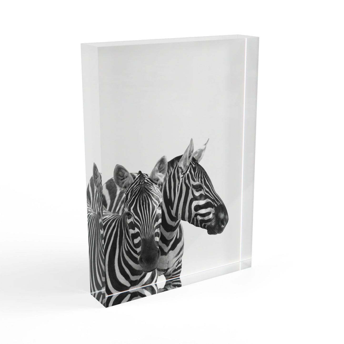 Photo Block zebras by Mariu del Campo.