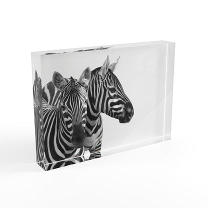 Photo Block zebras by Mariu del Campo.