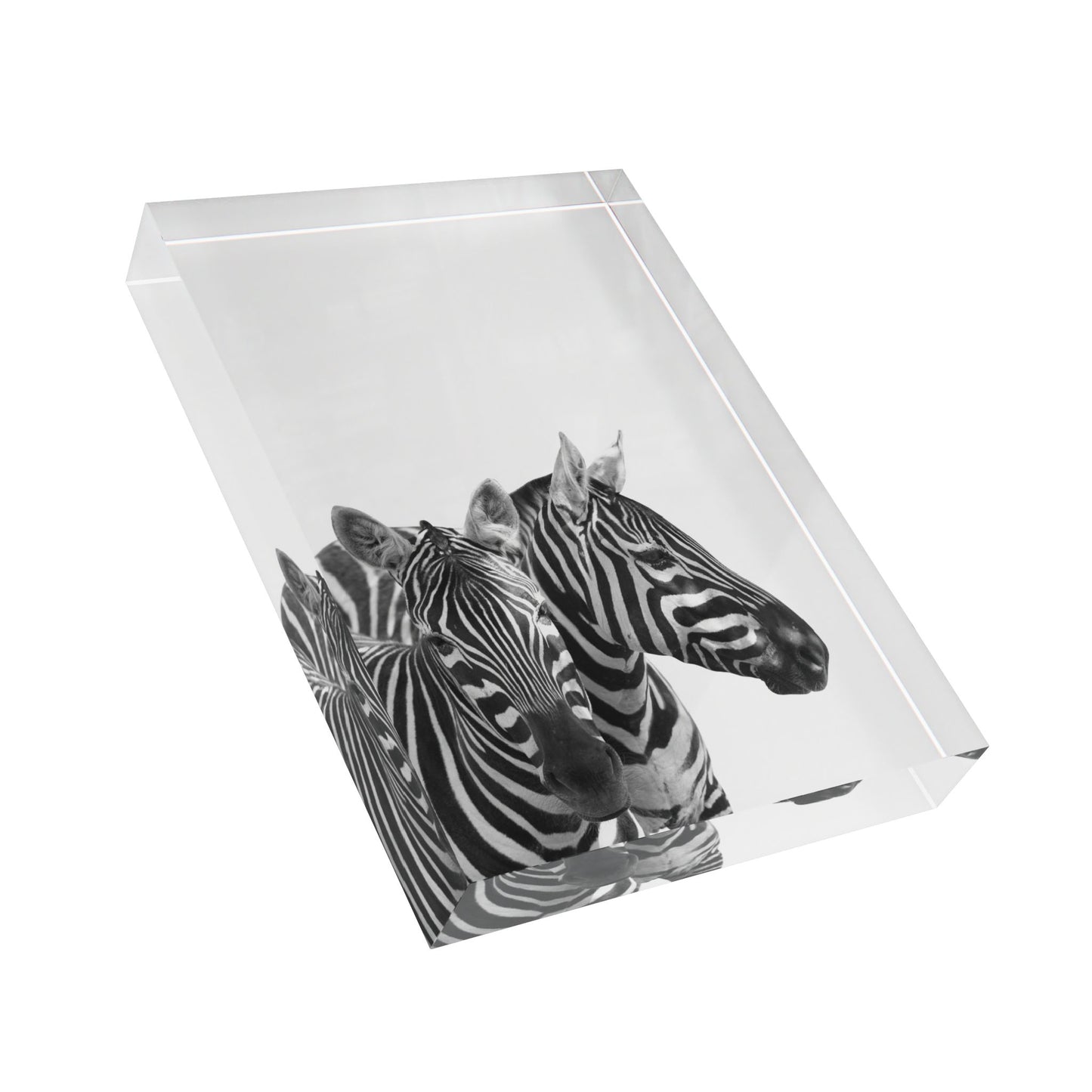 Photo Block zebras by Mariu del Campo.
