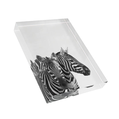 Photo Block zebras by Mariu del Campo.